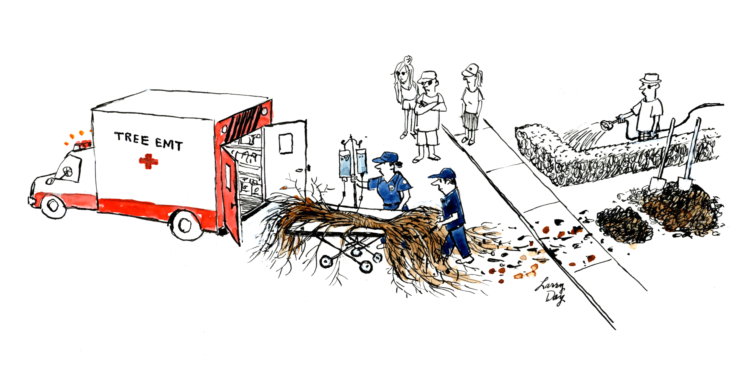 Balancing thirsty trees in town with riparian health
